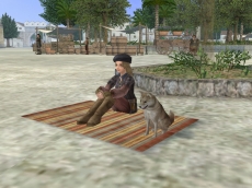 ꡼ No.006Υͥ / ҳ Onlineס֥ܥȥؽѶפ¿οȤǽˤʤ4åץǡȡפ»