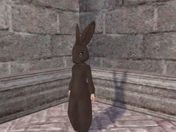 画像ギャラリー No.004のサムネイル画像 / 「大航海時代 Online」,パレードに参加するイベント“聖アントニオ祭”が6月6日に開催