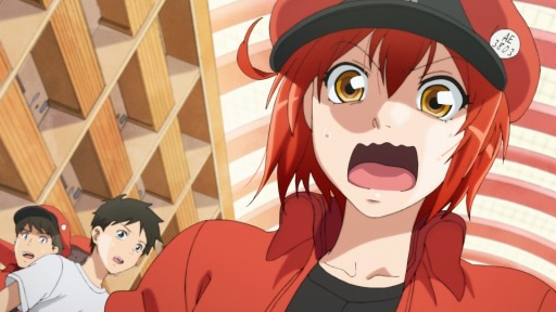 ���������꡼ No.004�Υ���ͥ������ / �֤����� ���˥ᡤ���褦����61��Ϻ������ܤΡ֤Ϥ��餯��˦�ס��ʹ֤�����Ƿ��깭�����뤪�Ż����˥�