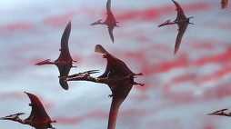 画像ギャラリー No.012のサムネイル画像 / そうだ アニメ,見よう:第129回は「ゴジラ S.P <シンギュラポイント>」。SF作家・円城 塔氏が手掛ける“エンタメゴジラ”が登場