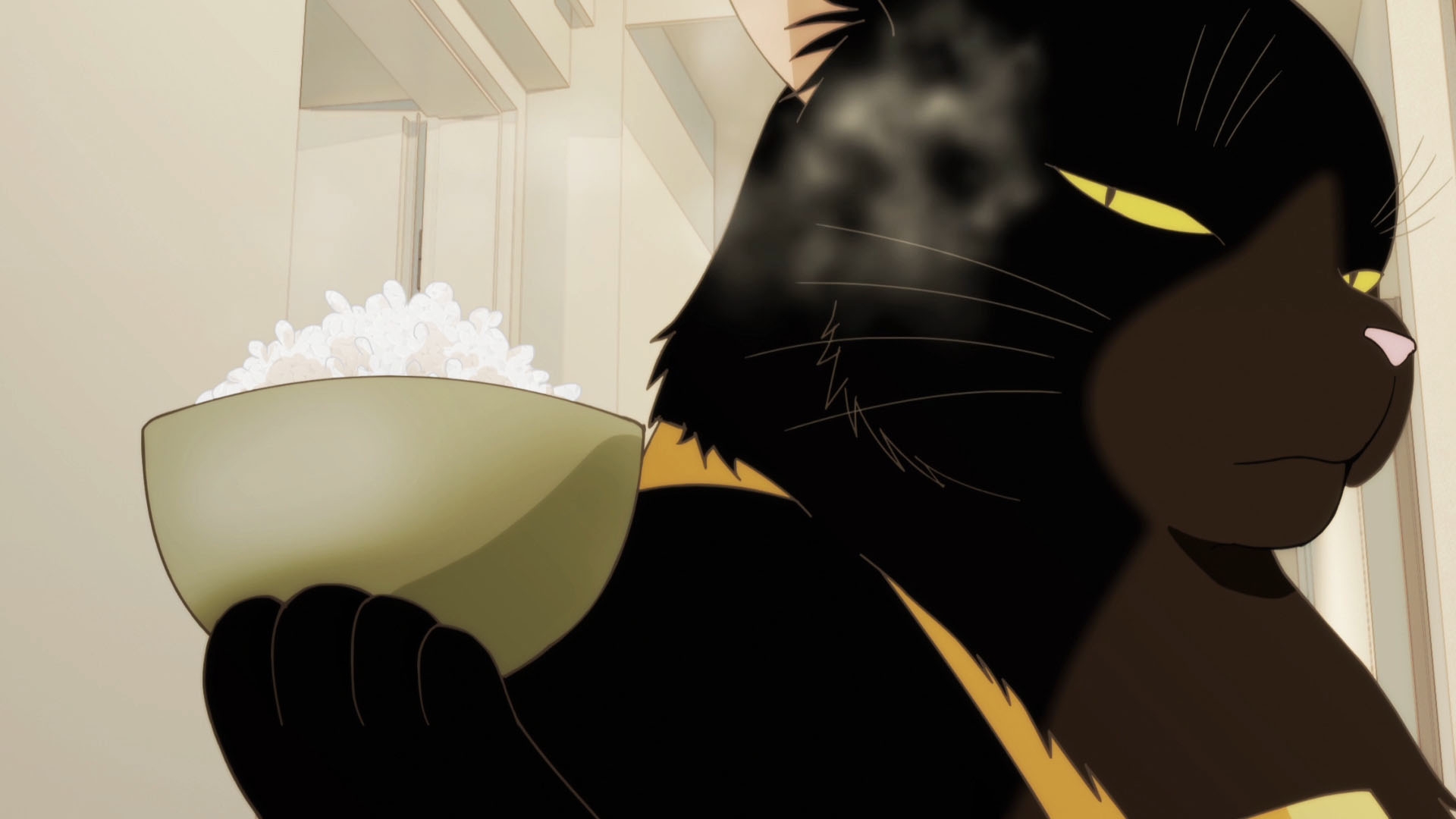 そうだ アニメ,見よう:第188回はGoHandsが手掛ける「デキる猫は今日