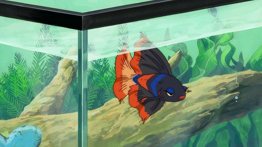画像ギャラリー No.011のサムネイル画像 / そうだ アニメ，見よう：第265回はキネマシトラス15周年記念作品「さよならララ」。滋賀県琵琶湖で繰り広げられる現代版「人魚姫」