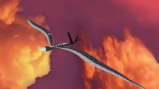 ꡼ No.005Υͥ / ͤʥɥˤƳεé롣PCѡʷϵɤȡֵΥפۿ