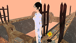 ꡼ No.009Υͥ / ͤʥɥˤƳεé롣PCѡʷϵɤȡֵΥפۿ