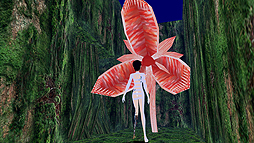 ꡼ No.012Υͥ / ͤʥɥˤƳεé롣PCѡʷϵɤȡֵΥפۿ