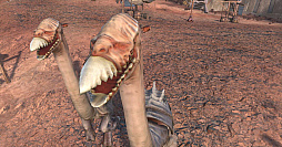 ꡼ No.003Υͥ / Kenshiס߷פΥ륹100ܤˡ2018ǯ˥꡼줿ɥܥåǡ³Ԥγȯʹ