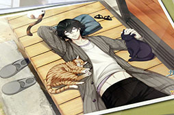 ꡼ No.010Υͥ / ץȡ֥ƥ벦ҡפȥץ󥻥եΥܥ٥Ȥ档ǥͤݡ