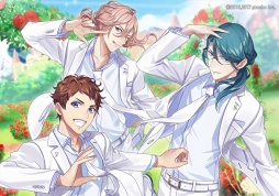 ꡼ No.004 | ֥ץסAGF2017䤹ܥɥդCD㥱åȤ