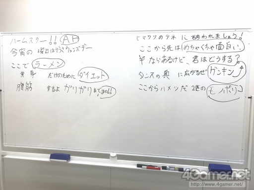 ꡼ No.005 | 餵Ȼ礵б̵㿶ܤʥ˥˥ֺʴפե󥺡פݡȡ奤󥿥ӥ塼