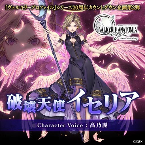 ꡼ No.001 | VALKYRIE ANATOMIAסǵ 蘆餸 ˲ŷȥꥢ׾ҲԸ