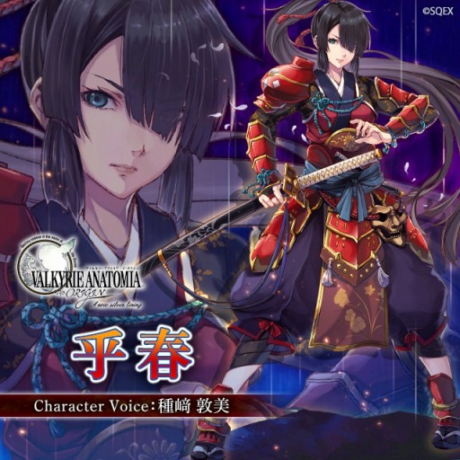 ꡼ No.001 | VALKYRIE ANATOMIAסξȸýաɤ1116о졣Ա