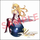 画像ギャラリー No.004のサムネイル画像 / 「5pb.祭り2016」の来場者特典と会場全体図が公開。展示エリアも追加