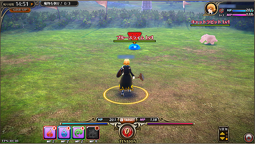 ꡼ No.021 | PRۥ֥饦Хȥϥإȥȥ뤬׵ᤵܳɡԥåĤοMMORPG֥ե˥ץץå