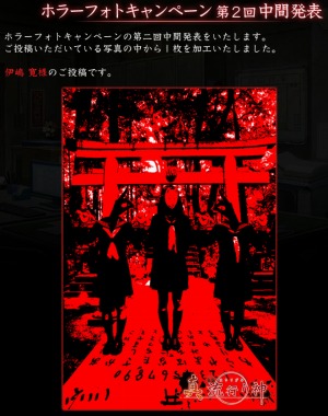 ꡼ No.002Υͥ / ֿ ήԤ22ۥ顼եȥڡ󤬳ŤˡWeb̡2ä