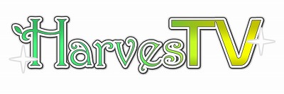 ꡼ No.005Υͥ / ѥ륲Υեꥺ ե饤󥰥åסiOS/AndroidǤۿ