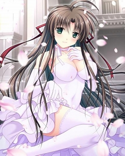 ���������꡼ No.003�Υ���ͥ������ / �ֿ��������Ƿ���ס��ֲǰ����δ��ָ���SR���о줹�륤�٥�Ȥ�����