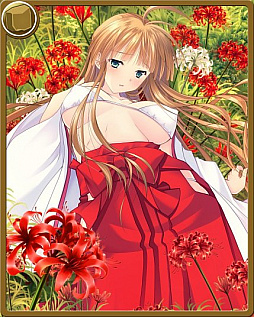 ���������꡼ No.003�Υ���ͥ������ / �ֿ��������Ƿ���ס����ָ������߲֥��٥�Ȥ�������곫��