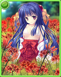 ���������꡼ No.004�Υ���ͥ������ / �ֿ��������Ƿ���ס����ָ������߲֥��٥�Ȥ�������곫��