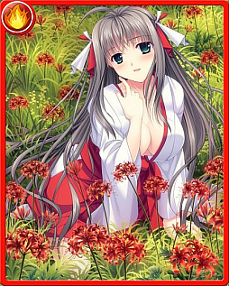 ���������꡼ No.005�Υ���ͥ������ / �ֿ��������Ƿ���ס����ָ������߲֥��٥�Ȥ�������곫��