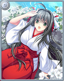 ���������꡼ No.002�Υ���ͥ������ / �ֿ��������Ƿ���ס����ָ�����߱����٥�Ȥ��������鳫��