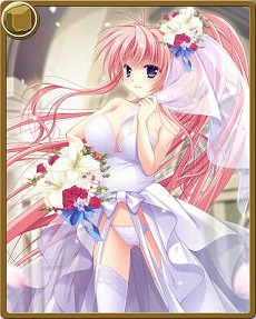 画像ギャラリー No.004のサムネイル画像 / 「神楽大戦・陽之巻」,ブライダルイベントが本日開始