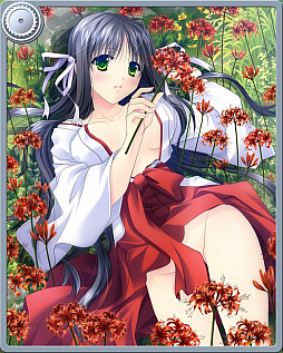 画像ギャラリー No.003のサムネイル画像 / 「神楽大戦・陽之巻」,期間限定イベントが本日スタート