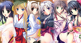 ꡼ No.003 | ֿǷפǥۥ磻ȥǡ٥Ȥ326ޤǳ