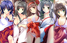 ꡼ No.004 | ֿǷפǥۥ磻ȥǡ٥Ȥ326ޤǳ