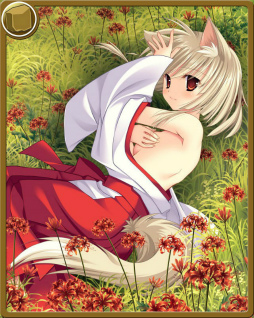 ���������꡼ No.003�Υ���ͥ������ / �ֿ��������Ƿ���ס���߲֥��٥�Ȥ�������