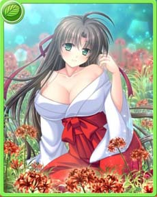 ꡼ No.002Υͥ / ֿǷפ˥ꥳꥹо졣߲֥꡼(SR)ԥåå