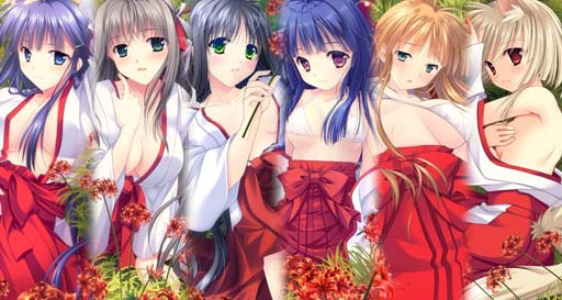 ꡼ No.004 | ֿǷפ˥ꥳꥹо졣߲֥꡼(SR)ԥåå