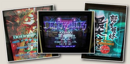 ꡼ No.005Υͥ / ֺ֥פ2017פΥ٥ƤϾӹҤ󤬲Τ֤錄ˡǤפγڶʥǡۿ