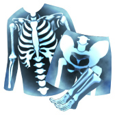 画像ギャラリー No.011のサムネイル画像 / 「BFBチャンピオンズ2.0」，マンチェスター・シティFCコラボ第2弾が開始