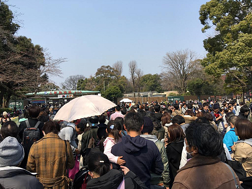 ꡼ No.002Υͥ / ޥեĤ󼡸褤346־ѥѡǼޤBTOOOM!饤