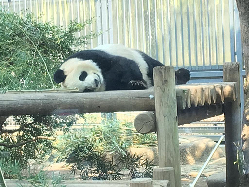 ꡼ No.003Υͥ / ޥեĤ󼡸褤346־ѥѡǼޤBTOOOM!饤