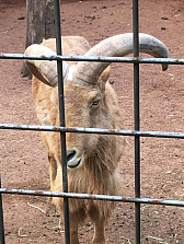 ꡼ No.006Υͥ / ޥեĤ󼡸褤346־ѥѡǼޤBTOOOM!饤