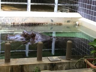 ꡼ No.007Υͥ / ޥեĤ󼡸褤346־ѥѡǼޤBTOOOM!饤