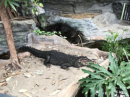 ꡼ No.010Υͥ / ޥեĤ󼡸褤346־ѥѡǼޤBTOOOM!饤