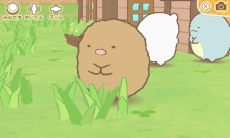 ꡼ No.008 | ꡼3ơ֤ߤå餷 ĤǤפ721ȯ䡣äԤͥƥ֤ǸŪʥãȼʬ¼