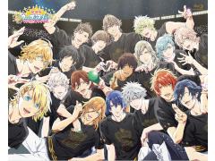 劇場版うたの☆プリンスさまっ♪マジLOVEキングダムアニメイト特装版ST☆RIS 劇場版 うたの☆プリンスさまっ♪ マジLOVEキングダム」BD＆DVD