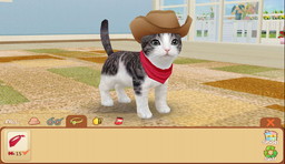 ꡼ No.003 | ֤ƤΤҤ󥳡פλ奢ץ֤ƤΤҤ˥󥳡סϿ»