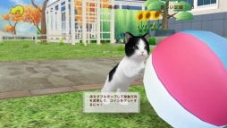 画像ギャラリー No.004のサムネイル画像 / 育成シミュレーション「てのひらニャンコ」が6月に配信。事前登録開始