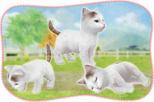 ꡼ No.004 | ֤ƤΤҤ˥󥳡ס೫ϻ٤4ɤΤˤ󤳤Ҳ