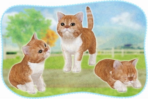 ꡼ No.005 | ֤ƤΤҤ˥󥳡ס೫ϻ٤4ɤΤˤ󤳤Ҳ