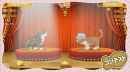 画像ギャラリー No.003のサムネイル画像 / 「てのひらニャンコ」,ゲームの内容がひと目で分かるというPVを公開