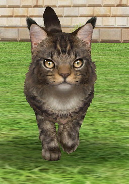 ꡼ No.004 | iOSǡ֤ƤΤҤ˥󥳡פۿϡAndroidǤ7ܤΥ꡼ͽ