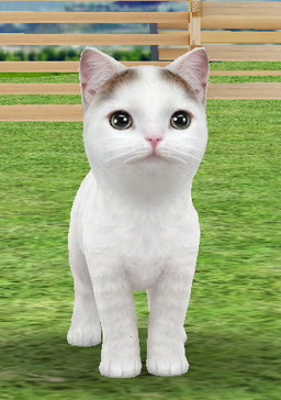 ꡼ No.005 | iOSǡ֤ƤΤҤ˥󥳡פۿϡAndroidǤ7ܤΥ꡼ͽ