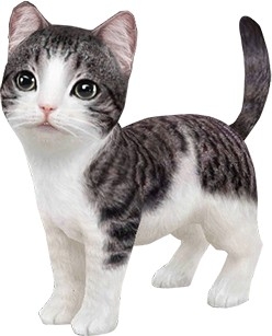 画像ギャラリー No.003のサムネイル画像 / 「てのひらニャンコ」,公式Twitterアカウントのフォローキャンペーンを実施