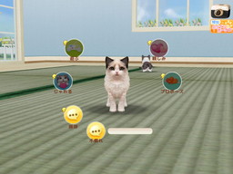 ꡼ No.002 | ֤ƤΤҤ˥󥳡פǡַ뺧ǥױ祭ڡ󤬼»