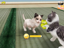 ꡼ No.003 | ֤ƤΤҤ˥󥳡פǡַ뺧ǥױ祭ڡ󤬼»